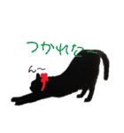 にゃんしーの仲間たち。（個別スタンプ：16）