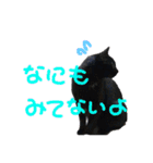 にゃんしーの仲間たち。（個別スタンプ：20）