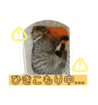 にゃんしーの仲間たち。（個別スタンプ：22）