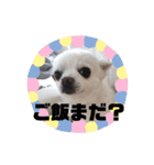 ワンダフルな毎日（個別スタンプ：2）
