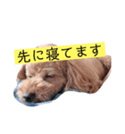 ワンダフルな毎日（個別スタンプ：3）
