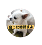 ワンダフルな毎日（個別スタンプ：5）