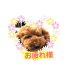 ワンダフルな毎日（個別スタンプ：6）