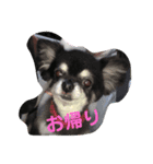 ワンダフルな毎日（個別スタンプ：7）