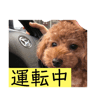 ワンダフルな毎日（個別スタンプ：8）