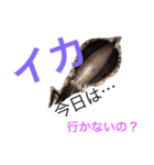 エギンガーのスタンプ（個別スタンプ：3）