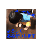 楓  くん（個別スタンプ：5）