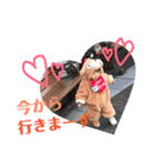 楓  くん（個別スタンプ：21）