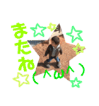 楓  くん（個別スタンプ：39）