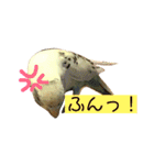 喋るインコその1（個別スタンプ：7）