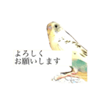 喋るインコその1（個別スタンプ：11）