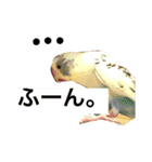 喋るインコその1（個別スタンプ：15）