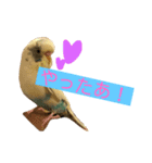 喋るインコその1（個別スタンプ：18）
