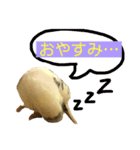 喋るインコその1（個別スタンプ：22）