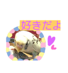 喋るインコその1（個別スタンプ：23）
