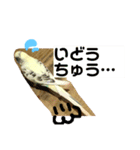 喋るインコその1（個別スタンプ：24）