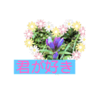 自然の一コマ1（個別スタンプ：1）