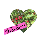 自然の一コマ1（個別スタンプ：6）