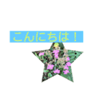 自然の一コマ1（個別スタンプ：10）