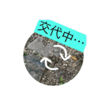 自然の一コマ1（個別スタンプ：23）