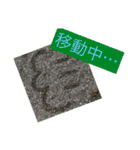 自然の一コマ1（個別スタンプ：24）