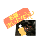 自然の一コマ1（個別スタンプ：26）