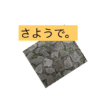 自然の一コマ1（個別スタンプ：27）