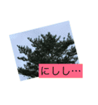 自然の一コマ1（個別スタンプ：29）