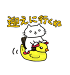 ゴキゲンねこ3（個別スタンプ：5）