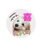 Raimuという名の犬3（個別スタンプ：3）