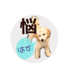 Raimuという名の犬3（個別スタンプ：8）