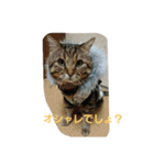 レオさんのスタンプ（個別スタンプ：2）