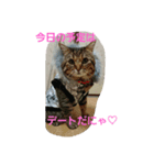 レオさんのスタンプ（個別スタンプ：4）