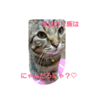 レオさんのスタンプ（個別スタンプ：12）