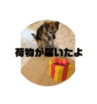 ナッツスタンプ⑦（個別スタンプ：31）
