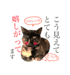 ねこすた・サビ猫バージョン（個別スタンプ：29）