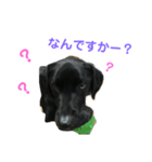 藤野メイちゃん（個別スタンプ：4）