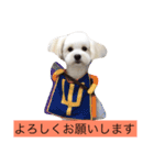 マロちゃん(トイプー×ポメ)（個別スタンプ：13）