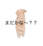 マロちゃん(トイプー×ポメ)（個別スタンプ：25）