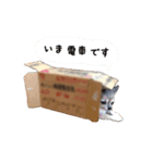 我が家のお犬さまたち（個別スタンプ：21）