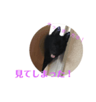 うなこはるのすたんぷ（個別スタンプ：13）