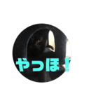 うなこはるのすたんぷ（個別スタンプ：16）