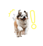 ミルは犬です。（個別スタンプ：8）
