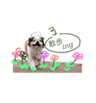 ミルは犬です。（個別スタンプ：9）
