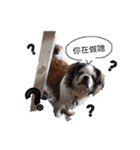 ミルは犬です。（個別スタンプ：10）
