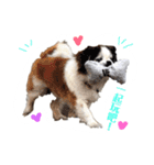 ミルは犬です。（個別スタンプ：14）