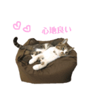 ぴぃちゃん②（個別スタンプ：4）