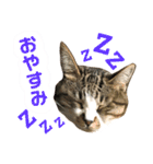 ぴぃちゃん②（個別スタンプ：9）