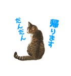 ぴぃちゃん②（個別スタンプ：10）
