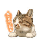 ぴぃちゃん②（個別スタンプ：14）